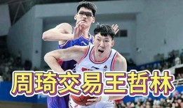 王哲林爆料视频最新,篮球生涯背后的心路历程与励志故事